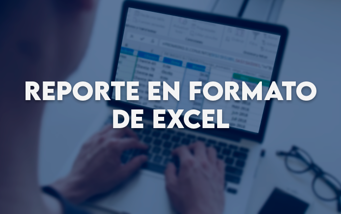 Reportes en Formato Excel